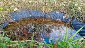 Unkenteich vor der Renatureirung